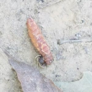 Meet your Posher, Gabby